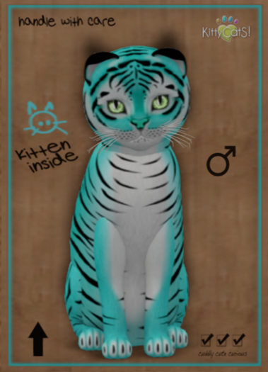 KittyCatS Box - Tiger! - Turquoise - Total Trait: 8T