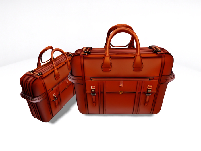 Walk Brief-case  bag 1