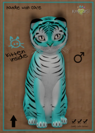 KittyCatS Box - Tiger! - Turquoise - 