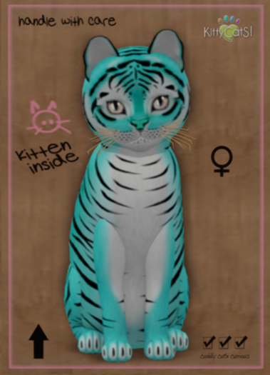 KittyCatS Box - Tiger! - Turquoise - Total Trait: 8T - Male