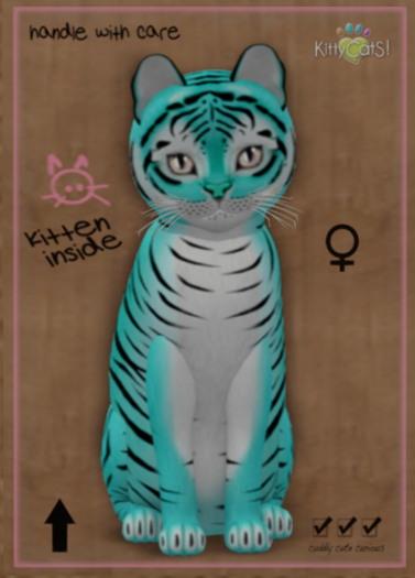 KittyCatS Box - Tiger! - Turquoise - Total Trait: 8T - Female