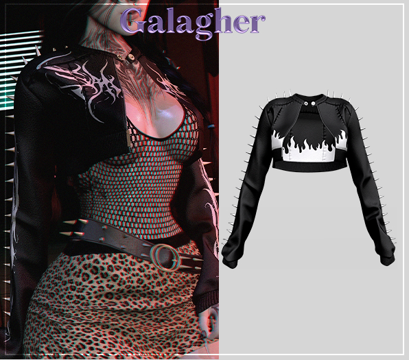 Galagher - Wanda Edition 13