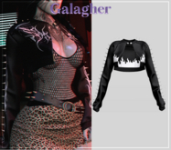 Galagher - Wanda Edition 13