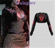 Galagher - Wanda Edition 12