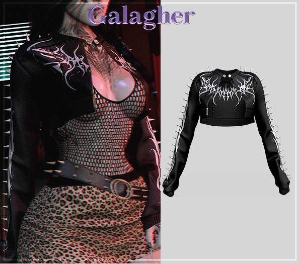 Galagher - Wanda Edition 11