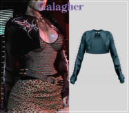 Galagher - Wanda Edition 8