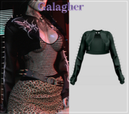 Galagher - Wanda Edition 6