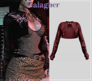 Galagher - Wanda Edition 5