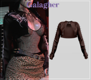 Galagher - Wanda Edition 3