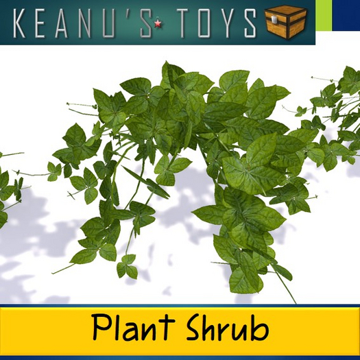 Small Vine Shrub 1 LI