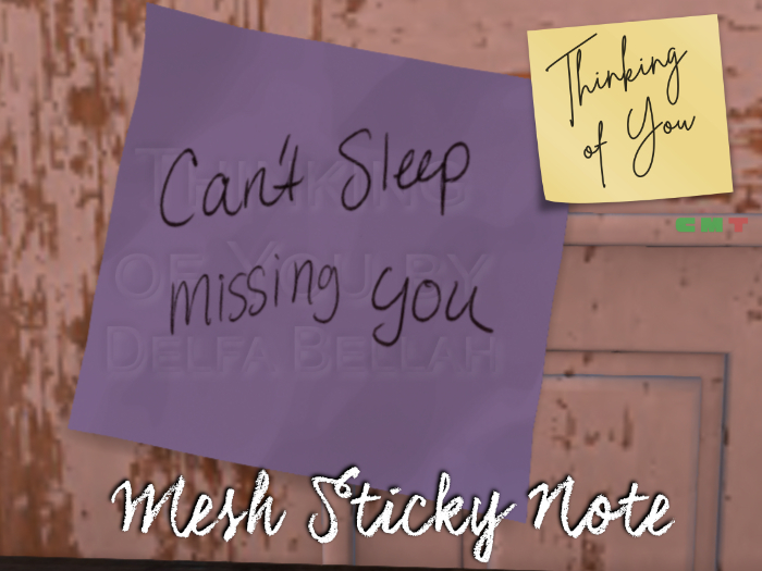 CAN'T SLEEP MISSING YOU - Thinking of You Sticky Note