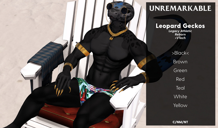 ![URM]! Black Leopard Gecko