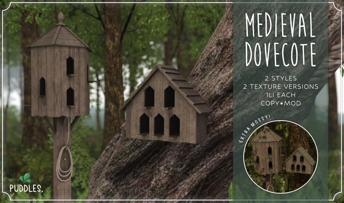Puddles. Mevieval Dovecote 