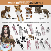 SEmotion Libellune Wild Kittens #18
