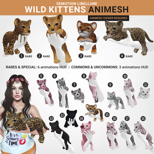 SEmotion Libellune Wild Kittens #13