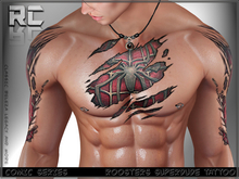 Roosters Tattoo Comic_Spiderdude