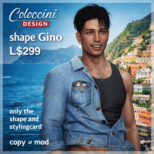 Shape Gino (boxed)