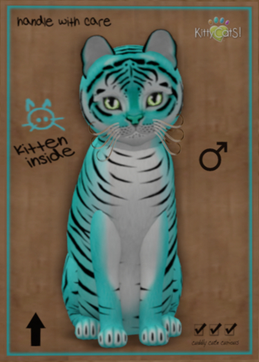 KittyCatS Box - Tiger! - Turquoise - Total Trait: 7T - Male