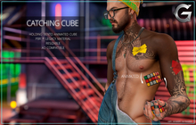 {geek} Catching Cube