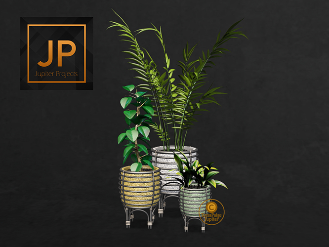 21 Why Not Netherton Potted Plant Set