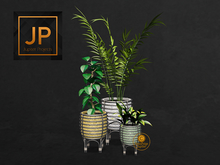 21 Why Not Netherton Potted Plant Set