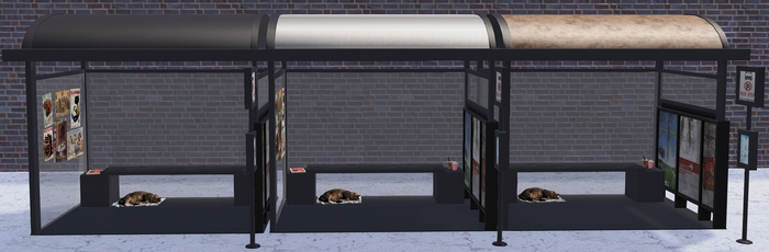 Cat Stop Bus 2026