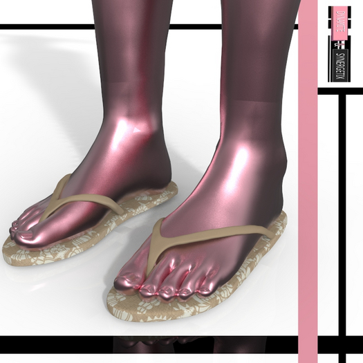 Beach Flip Flops Legacy