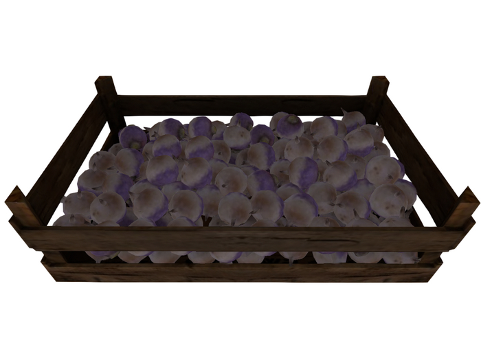 garlic box