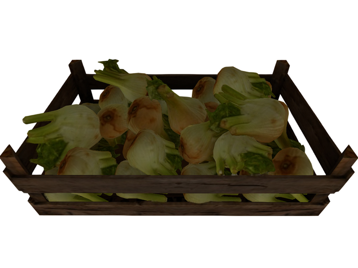 fennel box