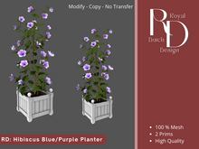 RD: Hibiscus Blue / Purple Planter