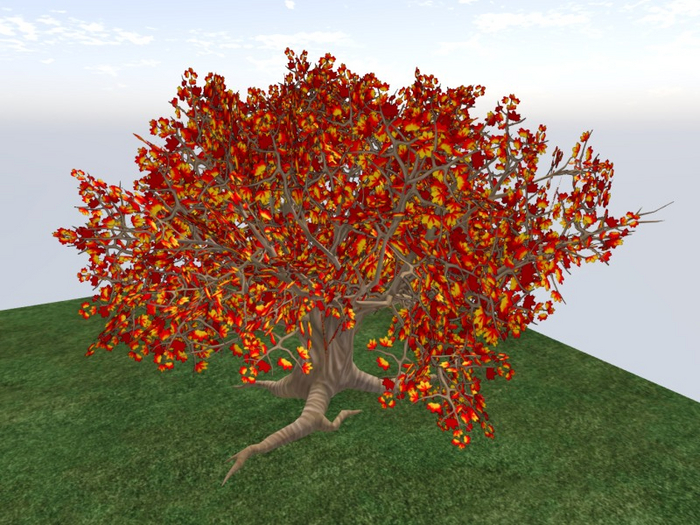 TM Autumn Maple Tree