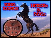 4 CAMISETAS MEN KING RANCH