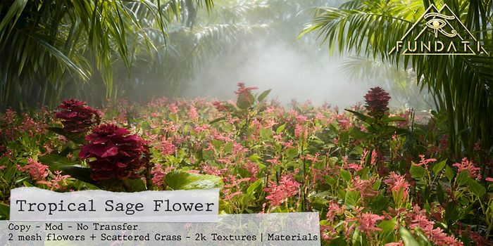 ( Fundati ) Tropical Sage Flower Set