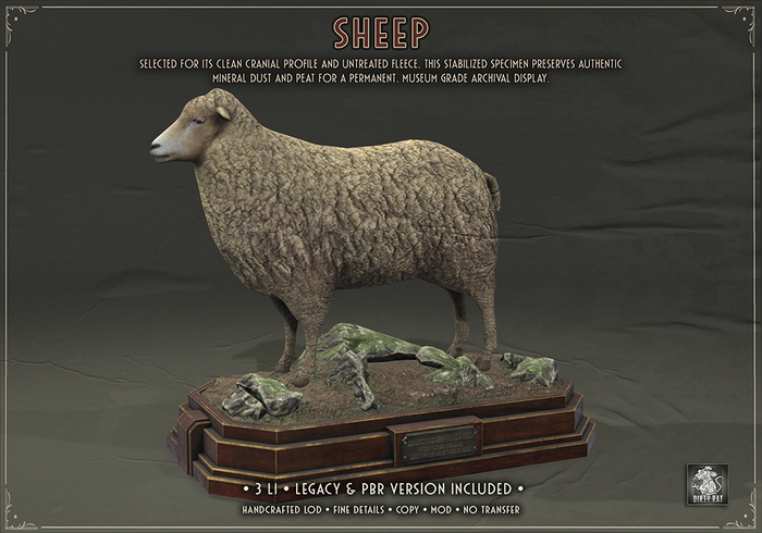 Dirty Rat - Sheep