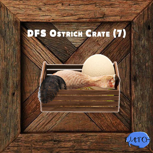 DFS Ostrich Crate (7)
