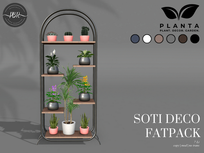 Planta - Soti Deco Fatpack