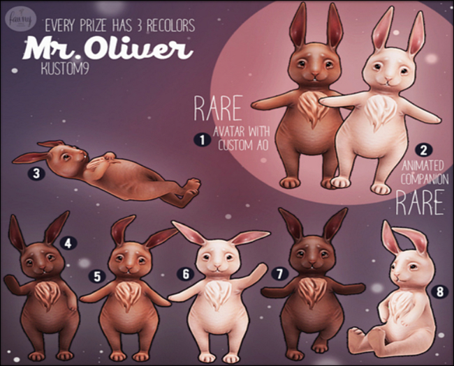 Fawny - Mr. Oliver - Rabbit 3