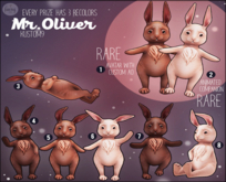 Fawny - Mr. Oliver - Rabbit 3