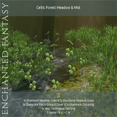Celtic Forest Meadow & Mist