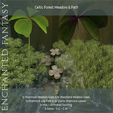 Celtic Forest Meadow & Path