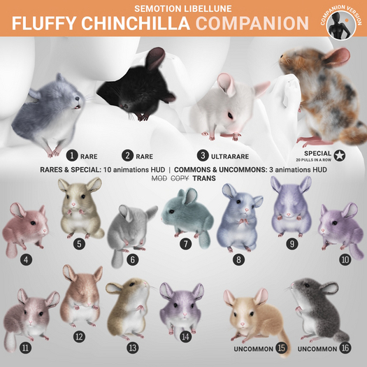 SEmotion Libellune Fluffy Chinchilla Companion RARE 01