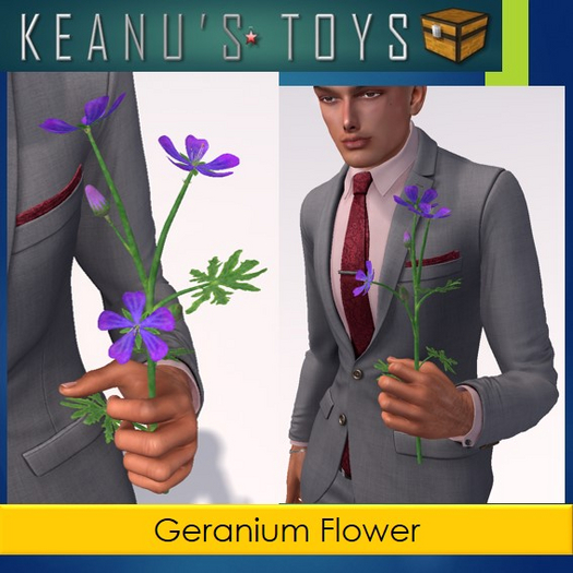 Geranium Spring Flower ADD to Hold