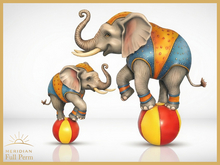 Circus Elephant FULL PERM