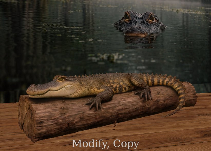 Alligator Roll Crate