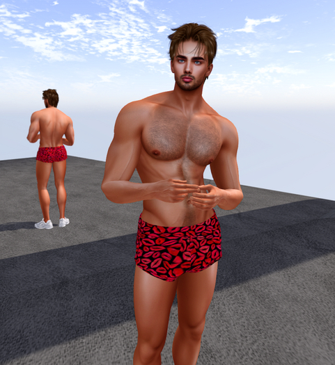 KC'S HOT LIPS SHORTS MENS