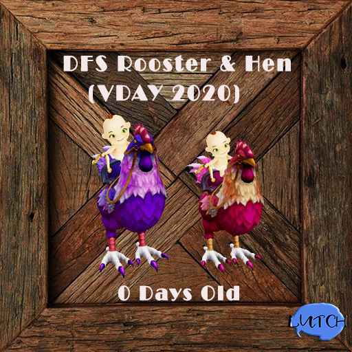 DFS Rooster & Hen (VDAY 2020) ~ 0 Days Old RARE