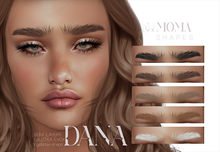 MOMA - Dana Eyebrows