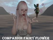 Fairy Flower Companion