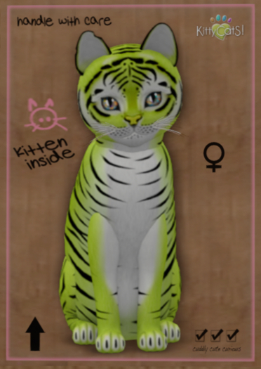 KittyCatS Box - Tiger! - Chartreuse - Female - 8T