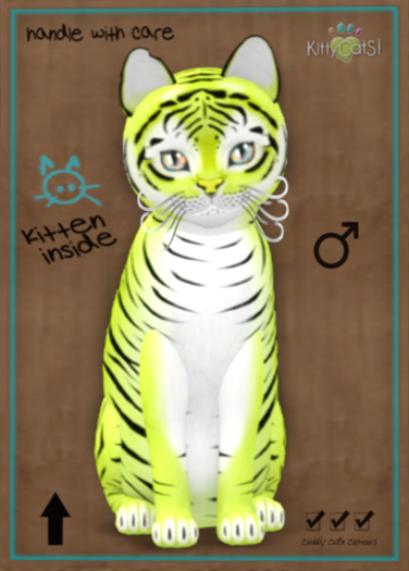 KittyCatS Box - Tiger! - Chartreuse - Male - 9T